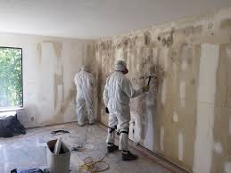  Lufkin, TX Mold Prevention & Removal Pros